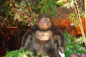 DSCN0640_convert_20111022055612