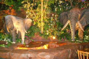 DSCN0636_convert_20111022055518