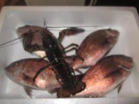 2012_0307_151549-IMG_0029-200x150