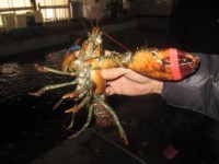 2012_0308_093638-IMG_0031-200x150