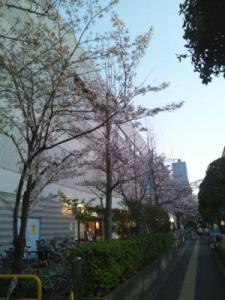 DSC_1060_convert_20120413073056s