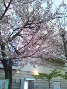 DSC_1058_convert_20120413072907s