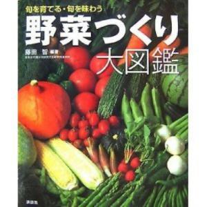 51G4W6Fg5kL__SL500_AA300_s