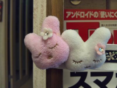 DSC_1124_convert_20120511064600