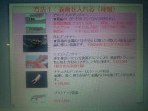 DSC_1504_convert_20121019065924s