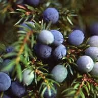 ダウンロード-5