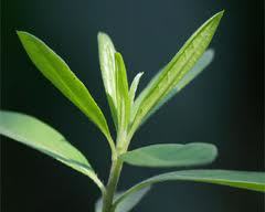 ダウンロード-7