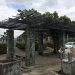 20140815_212618-150x150