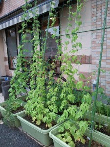 20140729_1721161-225x300