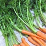 20140530_101920-150x150