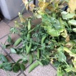 20140516_213215-150x150