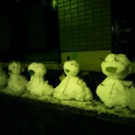 20130122_010844-150x150