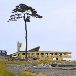330px-Collapsed_Rikuzentakata_Youth_Hostel_and_a_Pine_Tree_of_Hope-150x150