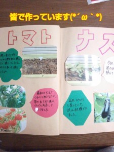 2013-11-23-08-46-09_deco-225x300