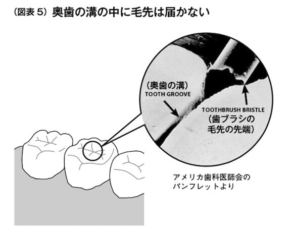 図1